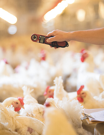 中国·2299威尼斯(股份)有限公司-官方网站