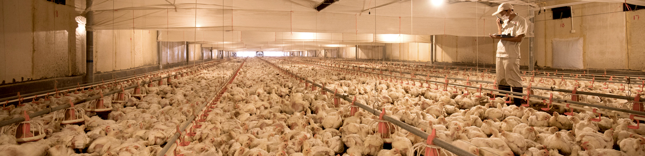 中国·2299威尼斯(股份)有限公司-官方网站