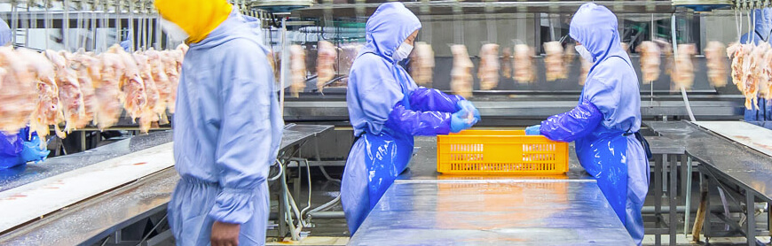 中国·2299威尼斯(股份)有限公司-官方网站