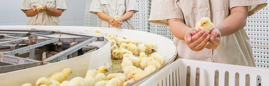 中国·2299威尼斯(股份)有限公司-官方网站