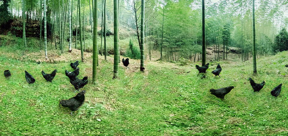 中国·2299威尼斯(股份)有限公司-官方网站