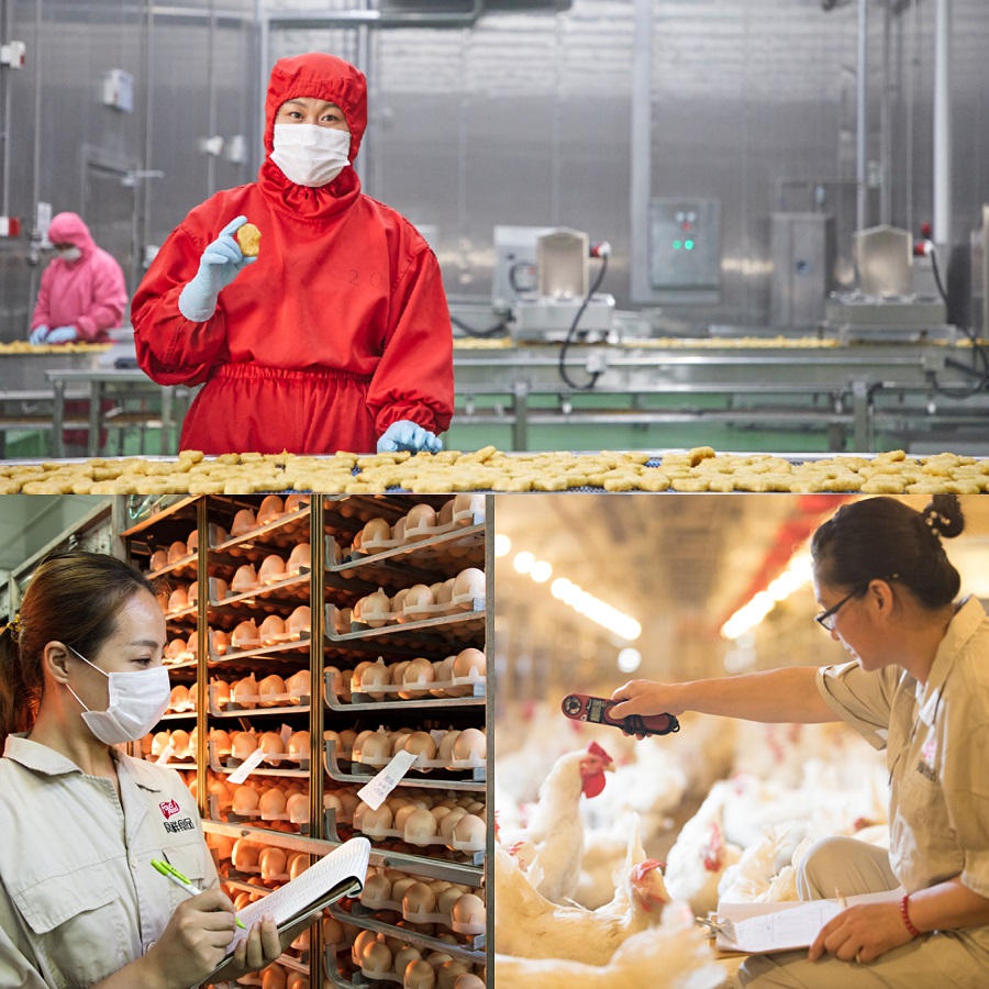 中国·2299威尼斯(股份)有限公司-官方网站